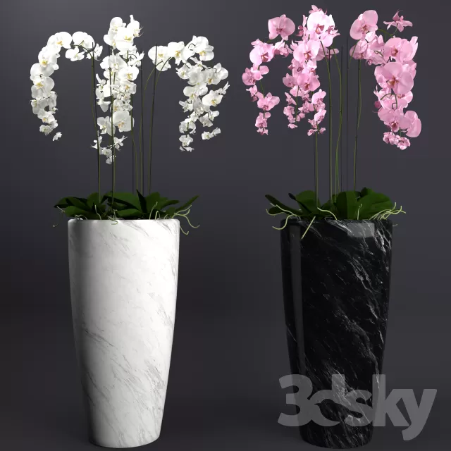 3DSKYFREE – FLOWER - PLANT 3DS MAX MODELS