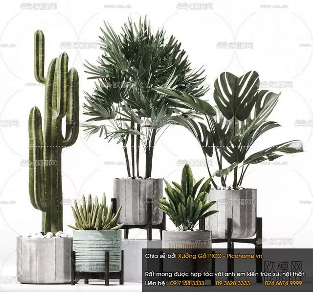 3DSKYFREE – FLOWER - PLANT 3DS MAX MODELS