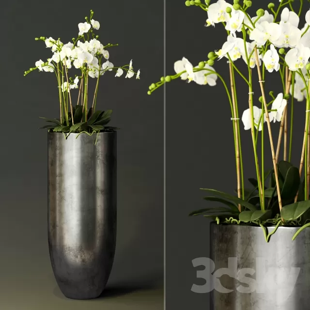 3DSKYFREE – FLOWER - PLANT 3DS MAX MODELS