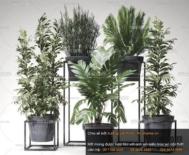 FLOWER - PLANT 3D MODELS