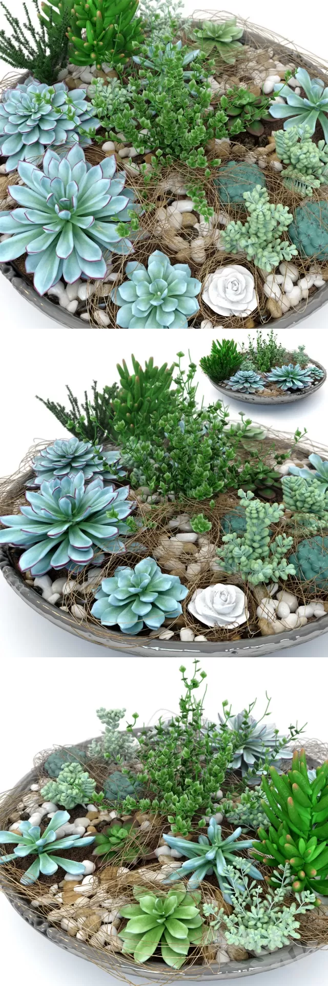 3DSKYFREE – FLOWER - PLANT 3DS MAX MODELS