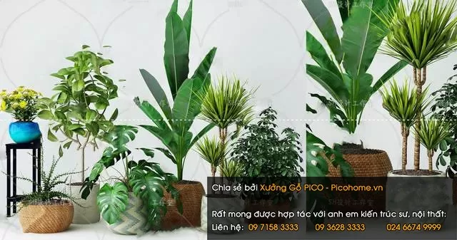 3DSKYFREE – FLOWER - PLANT 3DS MAX MODELS