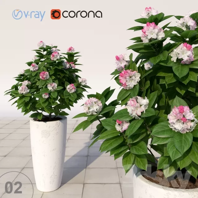 3DSKYFREE – FLOWER - PLANT 3DS MAX MODELS