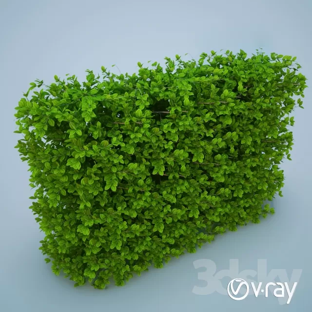 3DSKYFREE – FLOWER - PLANT 3DS MAX MODELS