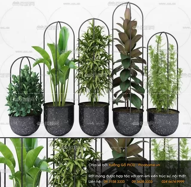 3DSKYFREE – FLOWER - PLANT 3DS MAX MODELS