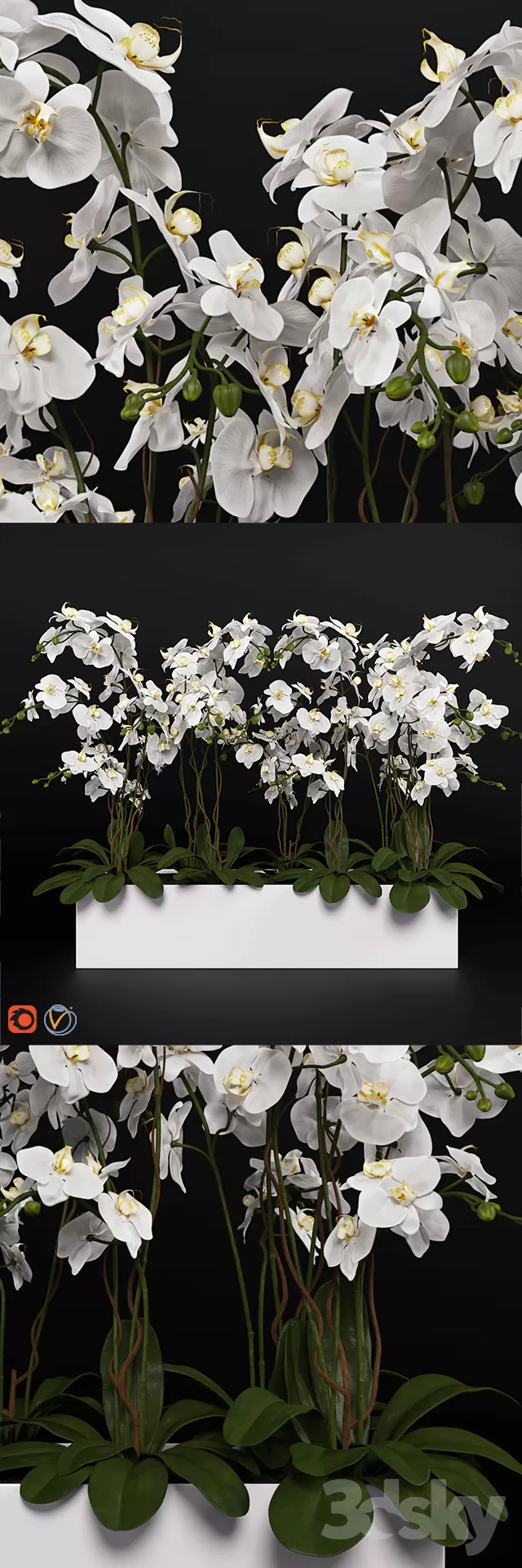 3DSKYFREE – FLOWER - PLANT 3DS MAX MODELS