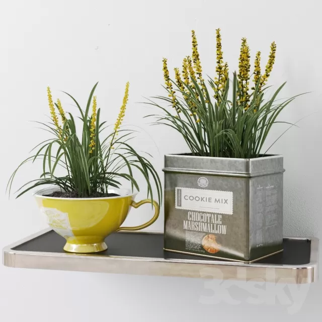 3DSKYFREE – FLOWER - PLANT 3DS MAX MODELS