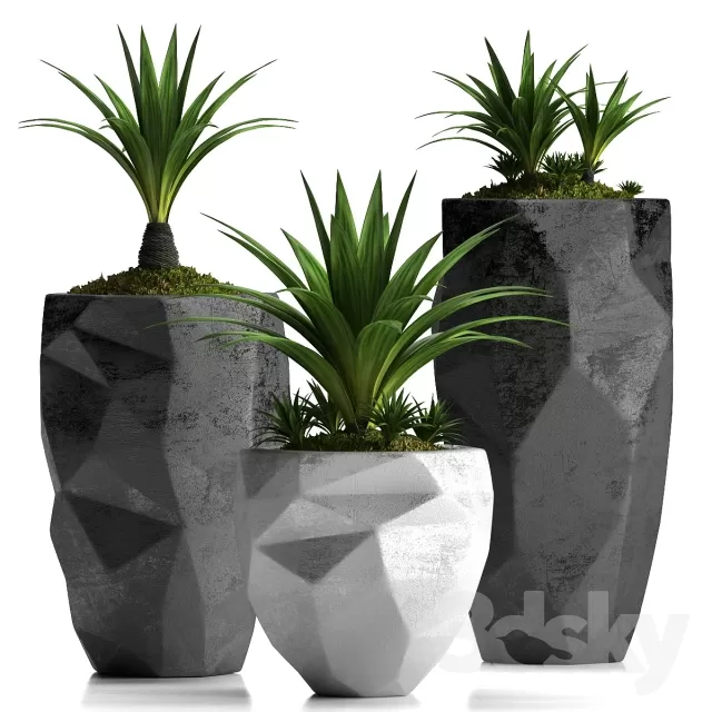 3DSKYFREE – FLOWER - PLANT 3DS MAX MODELS