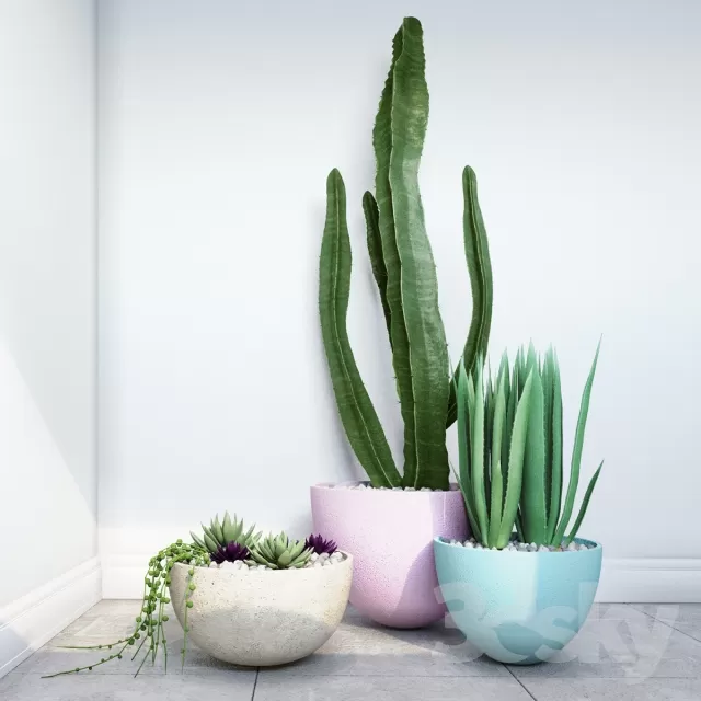 3DSKYFREE – FLOWER - PLANT 3DS MAX MODELS