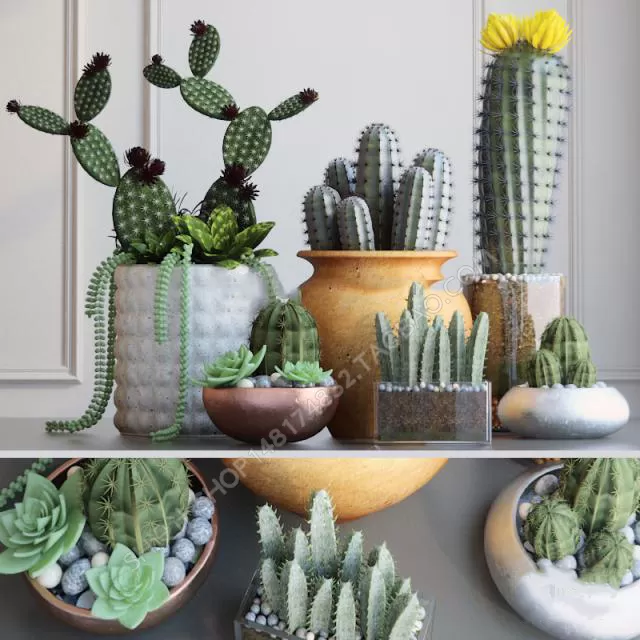 3DSKYFREE – FLOWER - PLANT 3DS MAX MODELS