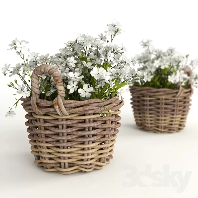 FLOWER - PLANT 3D MODELS