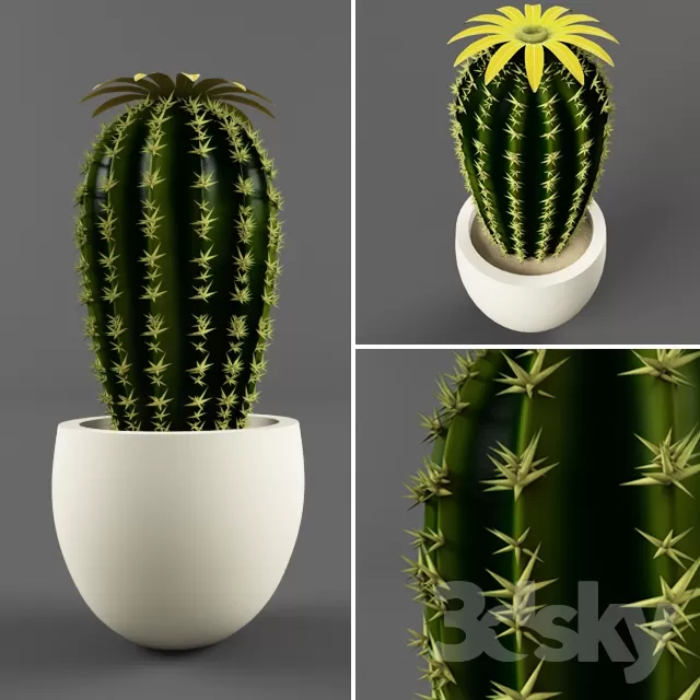 3DSKYFREE – FLOWER - PLANT 3DS MAX MODELS