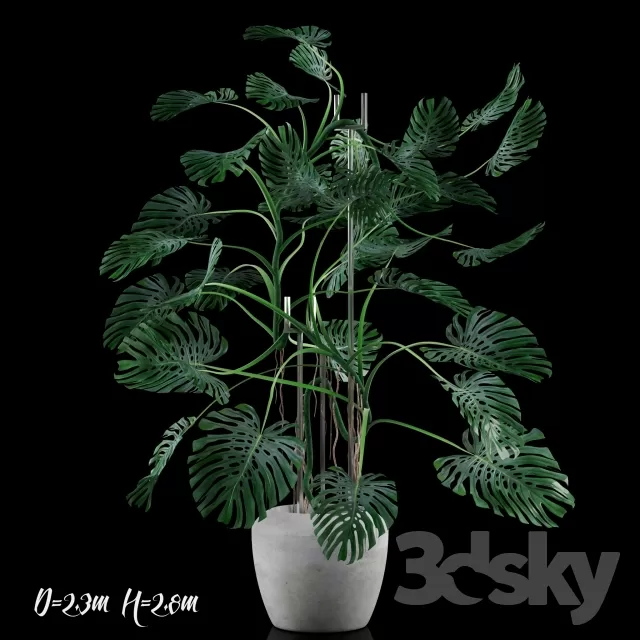 3DSKYFREE – FLOWER - PLANT 3DS MAX MODELS