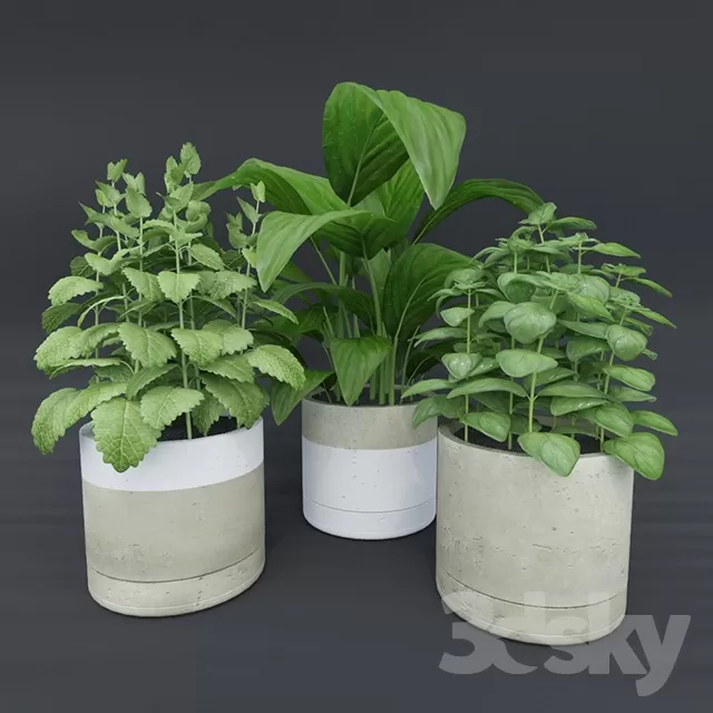 3DSKYFREE – FLOWER - PLANT 3DS MAX MODELS