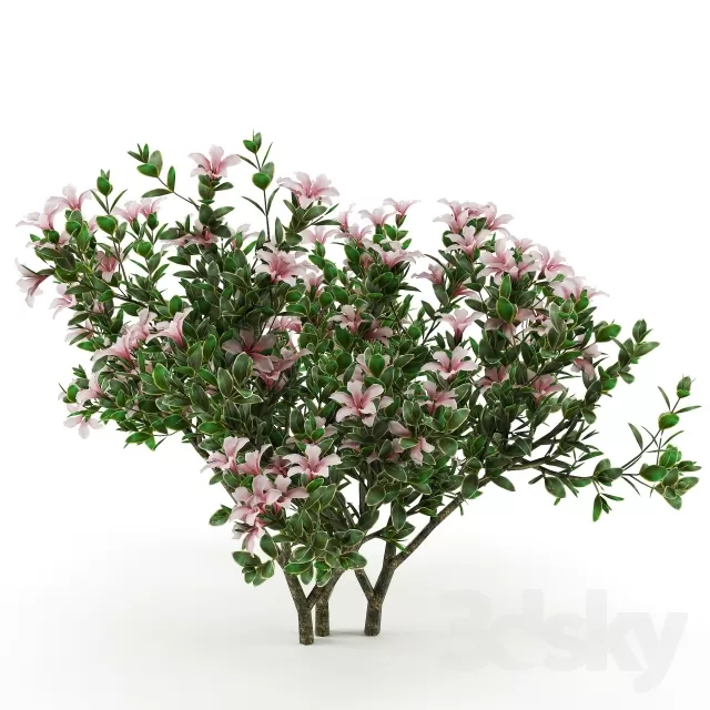 3DSKYFREE – FLOWER - PLANT 3DS MAX MODELS