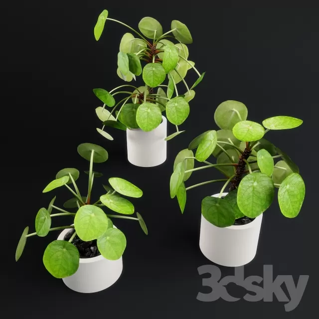 3DSKYFREE – FLOWER - PLANT 3DS MAX MODELS