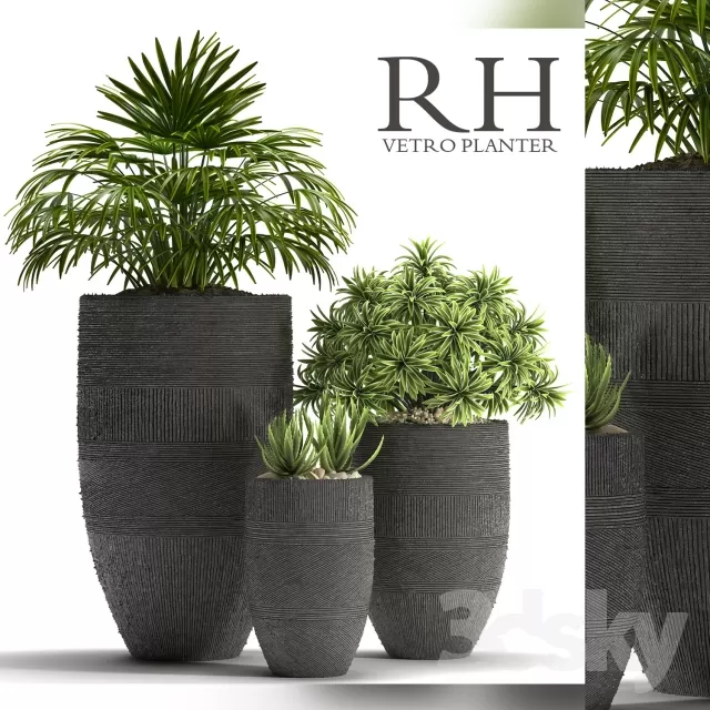 3DSKYFREE – FLOWER - PLANT 3DS MAX MODELS