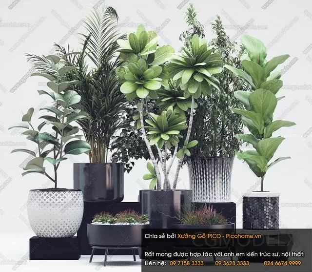 3DSKYFREE – FLOWER - PLANT 3DS MAX MODELS