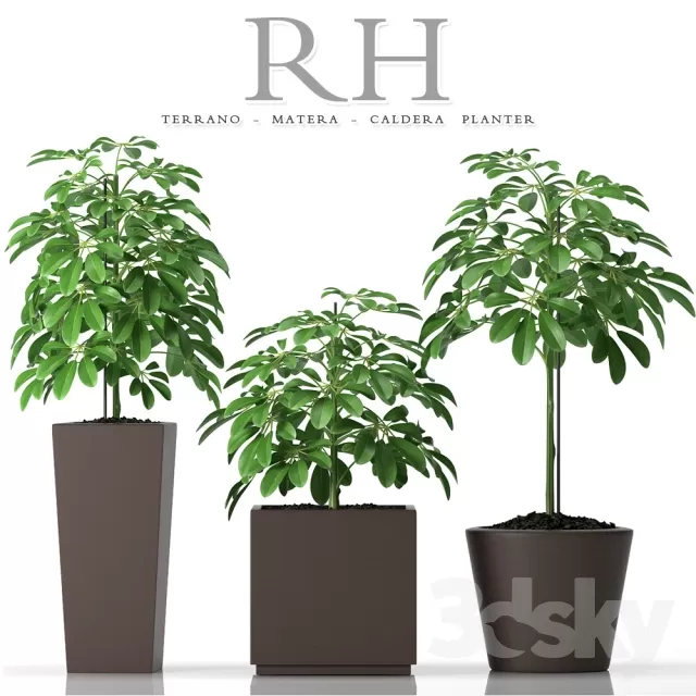 3DSKYFREE – FLOWER - PLANT 3DS MAX MODELS