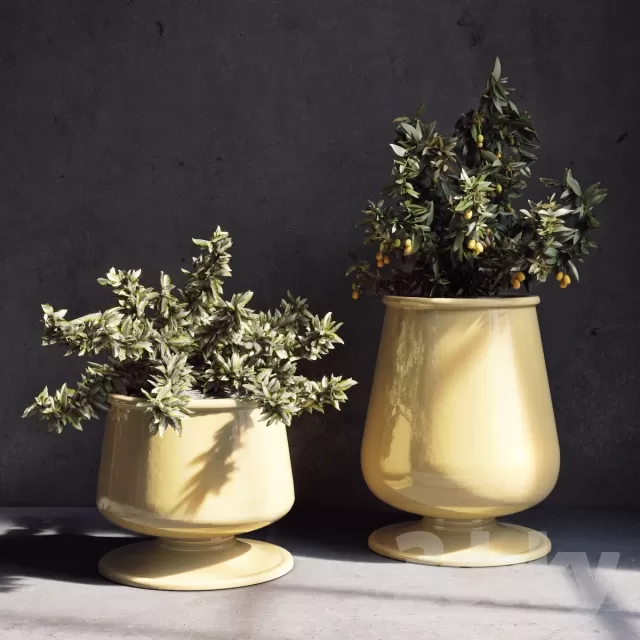 3DSKYFREE – FLOWER - PLANT 3DS MAX MODELS