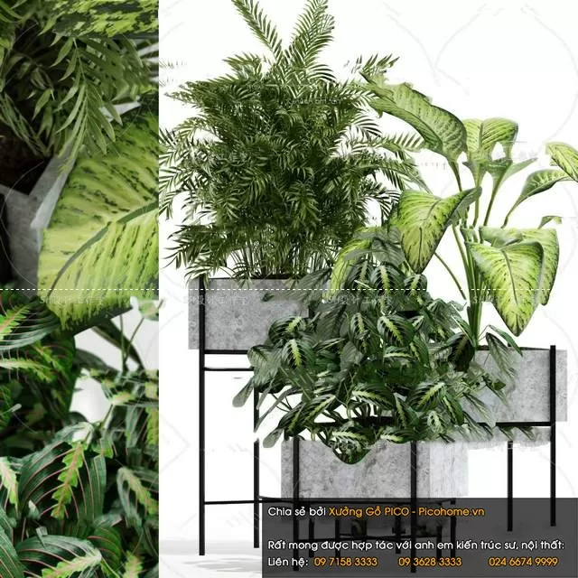 3DSKYFREE – FLOWER - PLANT 3DS MAX MODELS