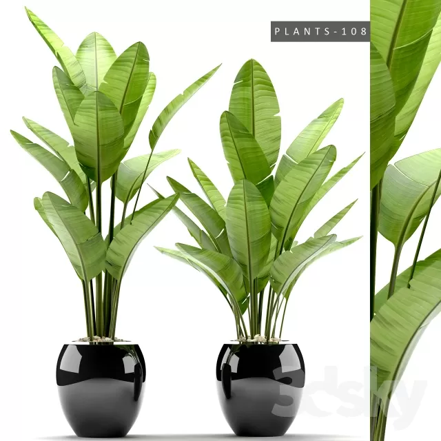 3DSKYFREE – FLOWER - PLANT 3DS MAX MODELS