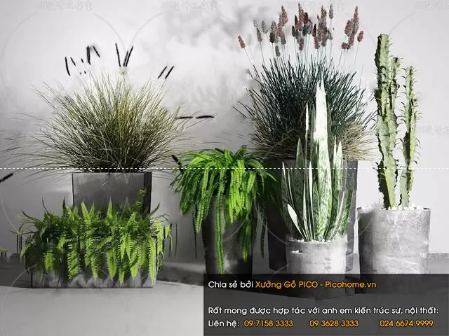 3DSKYFREE – FLOWER - PLANT 3DS MAX MODELS