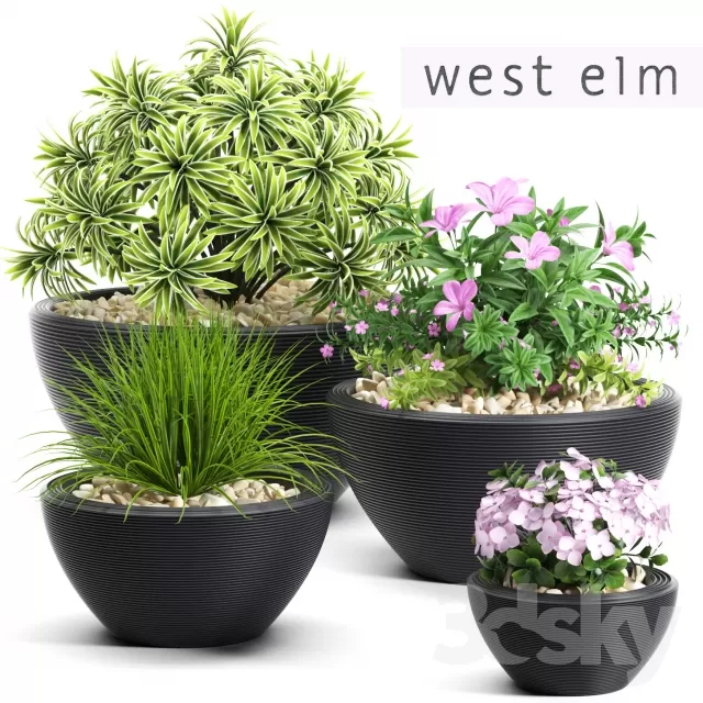 3DSKYFREE – FLOWER - PLANT 3DS MAX MODELS