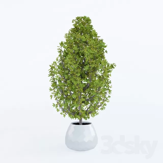 3DSKYFREE – FLOWER - PLANT 3DS MAX MODELS