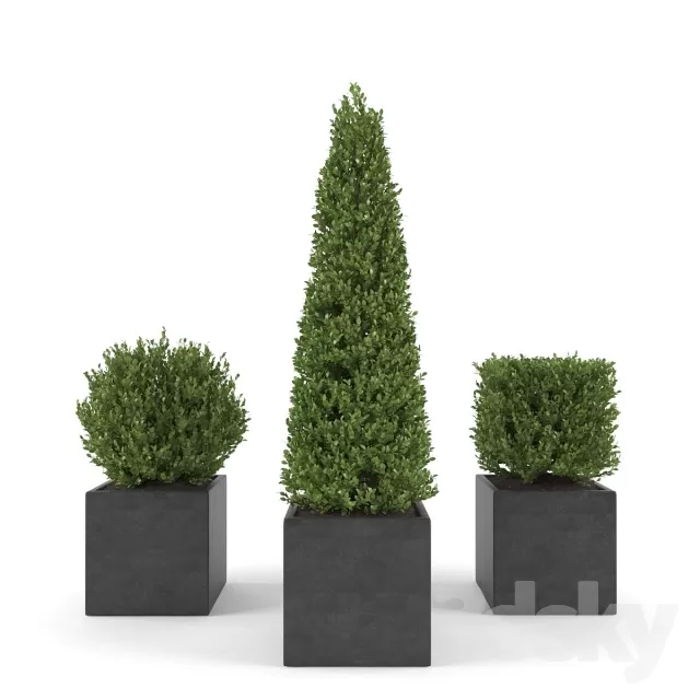 3DSKYFREE – FLOWER - PLANT 3DS MAX MODELS