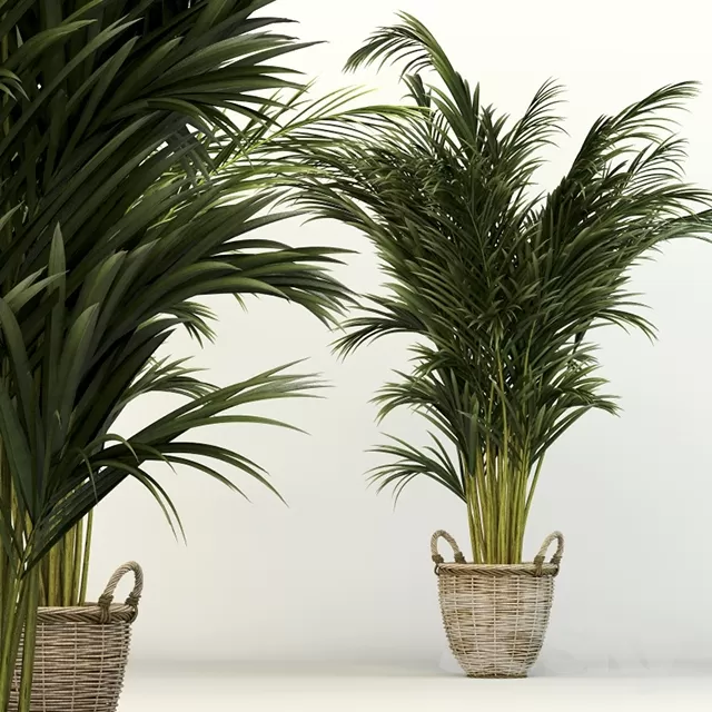 3DSKYFREE – FLOWER - PLANT 3DS MAX MODELS