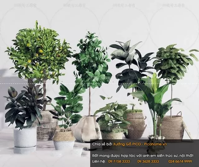 3DSKYFREE – FLOWER - PLANT 3DS MAX MODELS