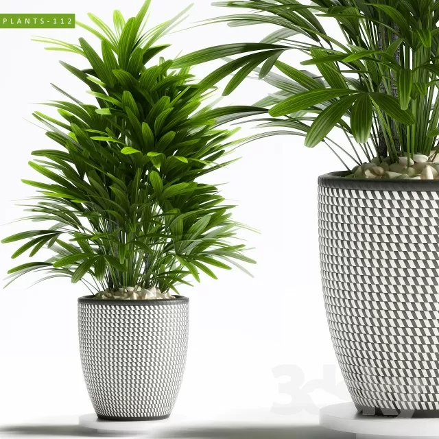 FLOWER - PLANT 3D MODELS