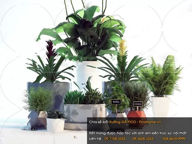 3DSKYFREE – FLOWER - PLANT 3DS MAX MODELS