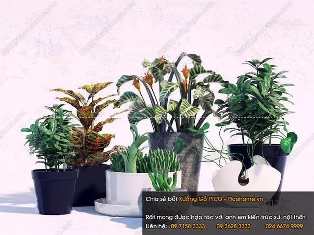 3DSKYFREE – FLOWER - PLANT 3DS MAX MODELS