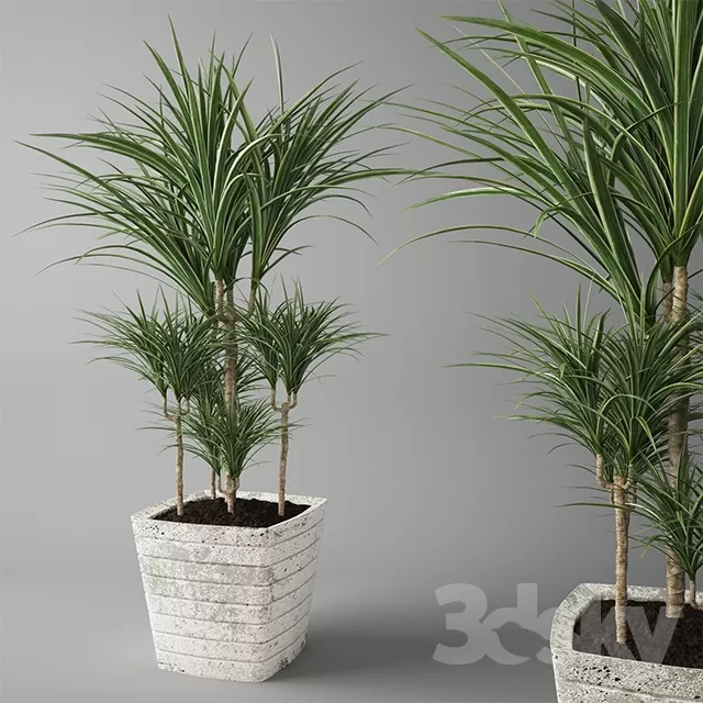 3DSKYFREE – FLOWER - PLANT 3DS MAX MODELS