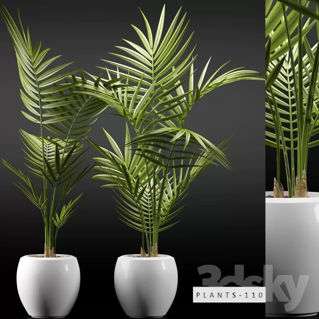 3DSKYFREE – FLOWER - PLANT 3DS MAX MODELS