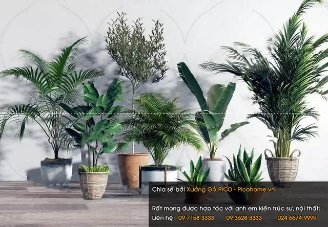 3DSKYFREE – FLOWER - PLANT 3DS MAX MODELS