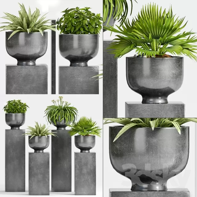 FLOWER - PLANT 3D MODELS