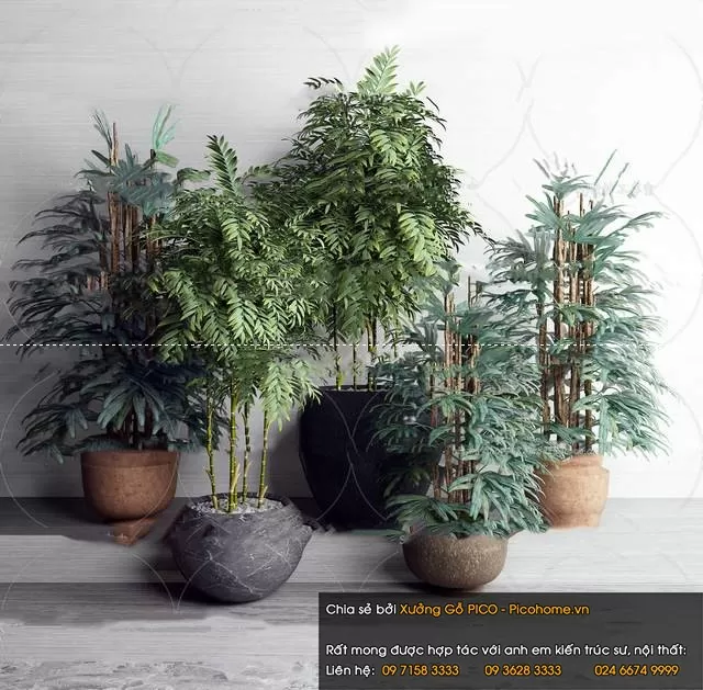 3DSKYFREE – FLOWER - PLANT 3DS MAX MODELS