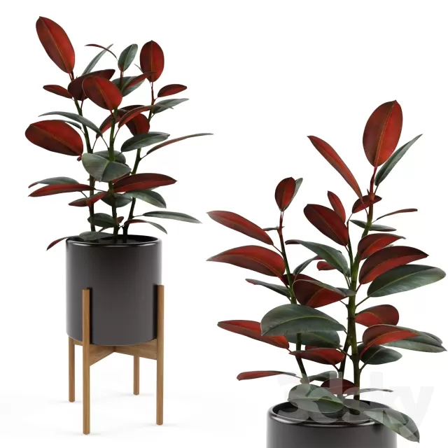 3DSKYFREE – FLOWER - PLANT 3DS MAX MODELS