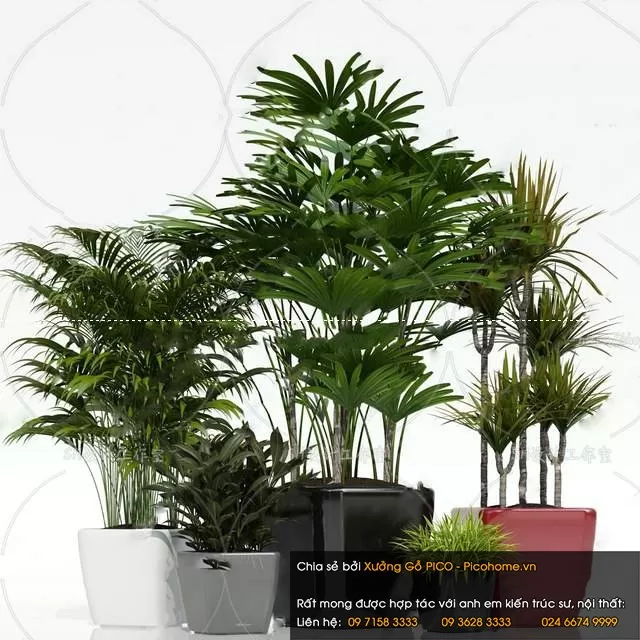 3DSKYFREE – FLOWER - PLANT 3DS MAX MODELS