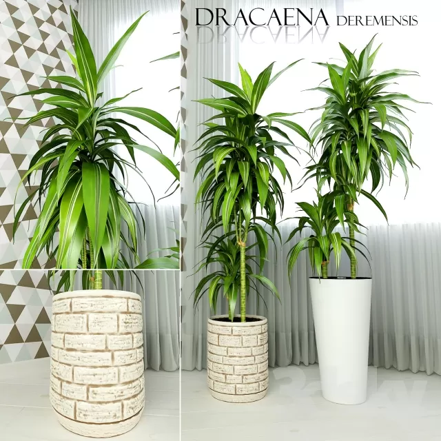 3DSKYFREE – FLOWER - PLANT 3DS MAX MODELS