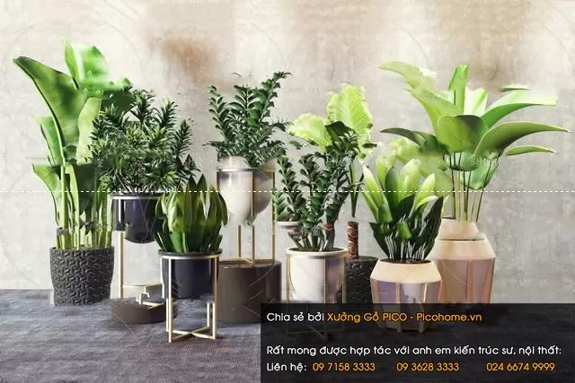 3DSKYFREE – FLOWER - PLANT 3DS MAX MODELS