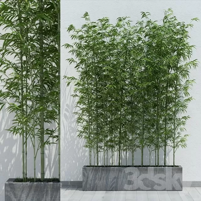 FLOWER - PLANT 3D MODELS
