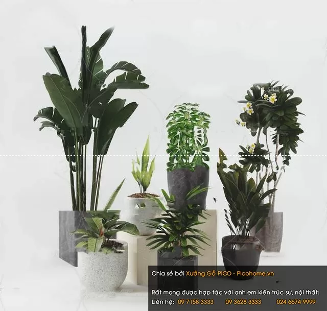 3DSKYFREE – FLOWER - PLANT 3DS MAX MODELS