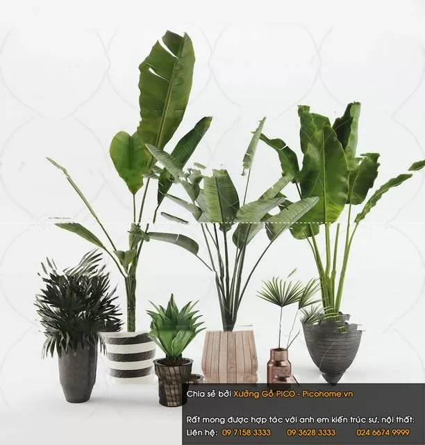 3DSKYFREE – FLOWER - PLANT 3DS MAX MODELS