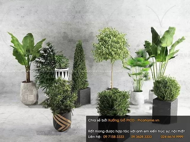 3DSKYFREE – FLOWER - PLANT 3DS MAX MODELS