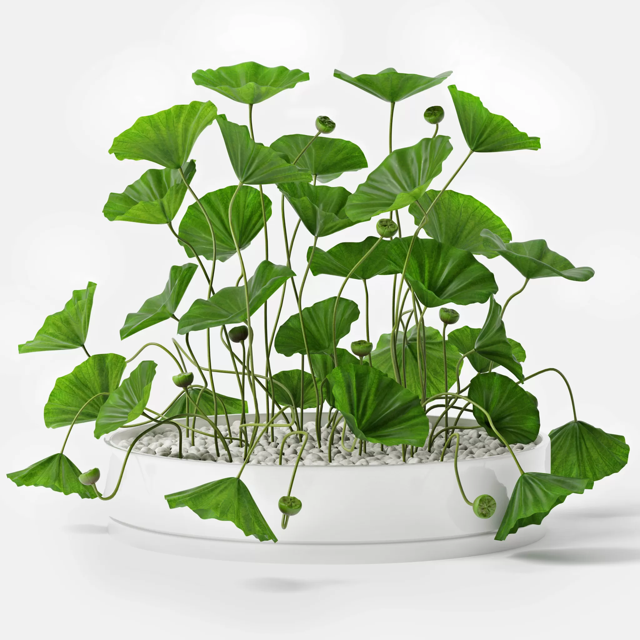 3DSKYFREE – FLOWER - PLANT 3DS MAX MODELS