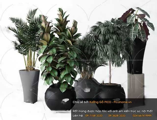 3DSKYFREE – FLOWER - PLANT 3DS MAX MODELS